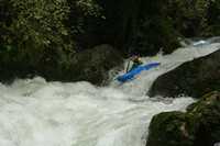 Immagine 485,26Kb